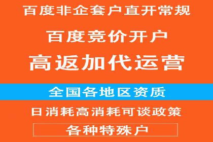 SEM广告创意与优化：成功案例分享